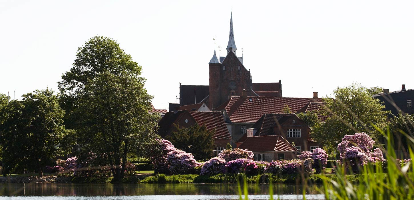 Haderslev Domkirke set fra Haderslev Dam
