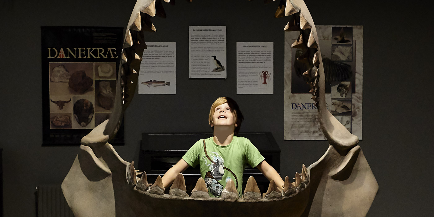 Enthousiast jongetje in het museum bij Gram Lergrav