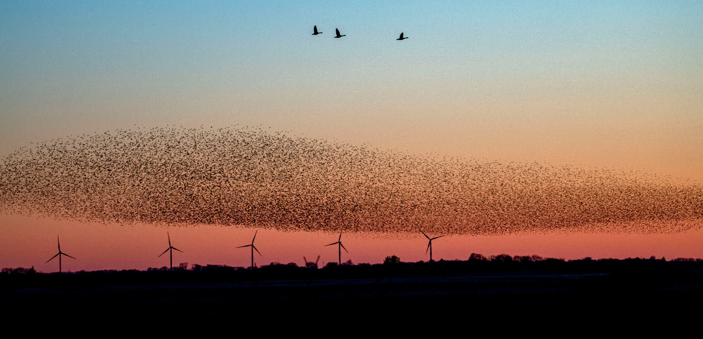 Sort Sol med orange himmel bagved