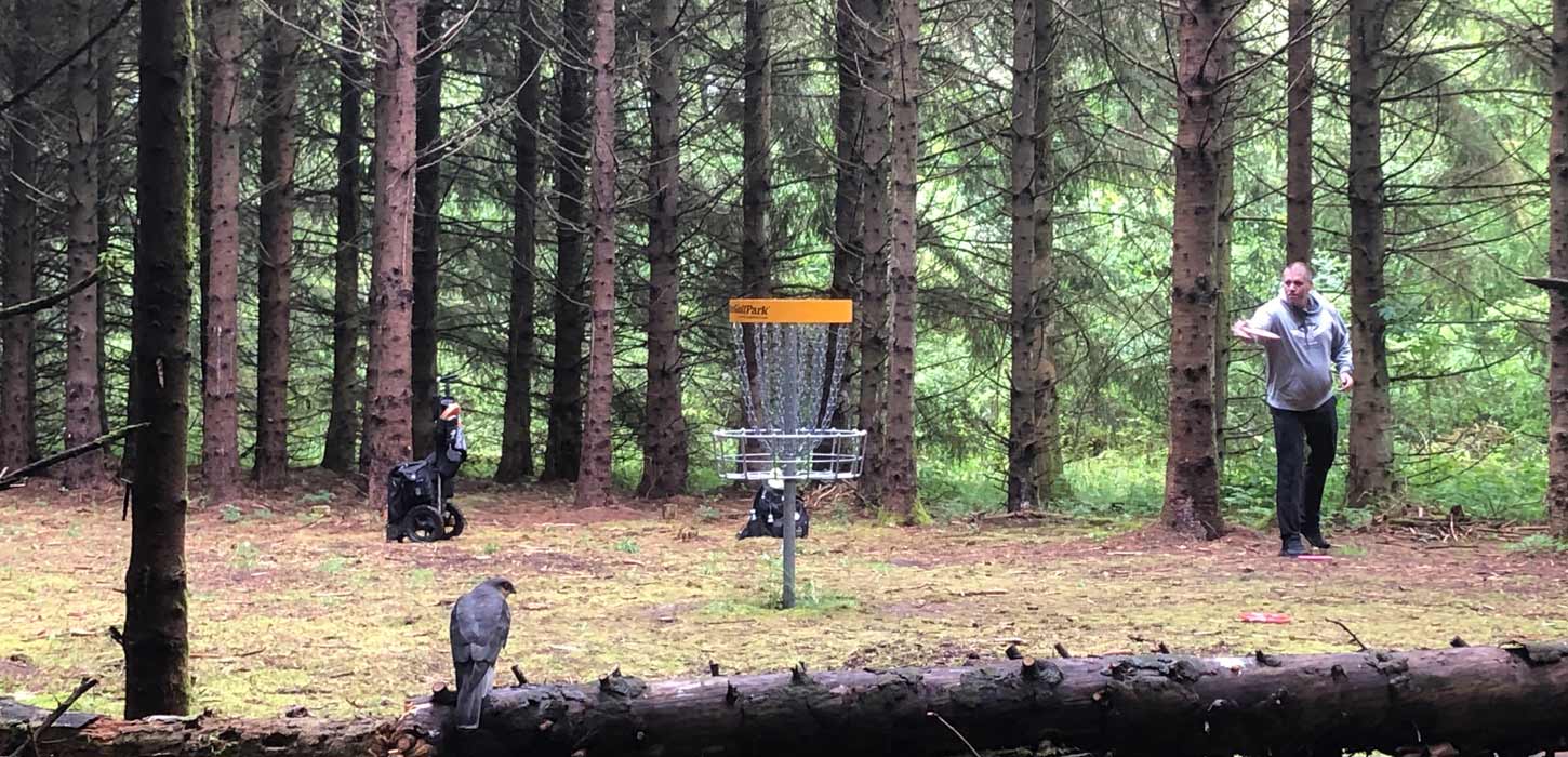 Disc Golf im Wald