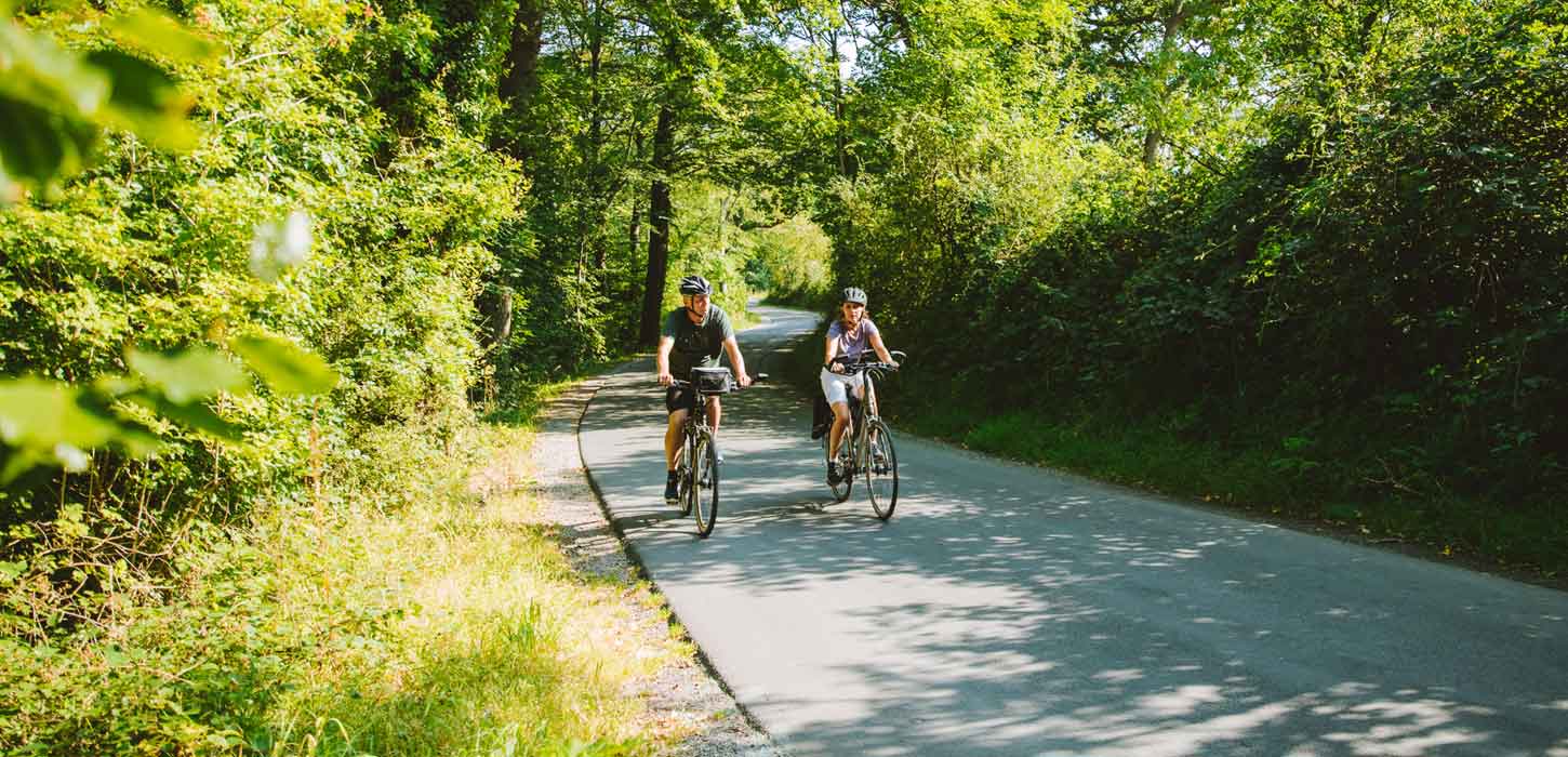 Ein Pärchen fährt Fahrrad im Wald um Aabenraa