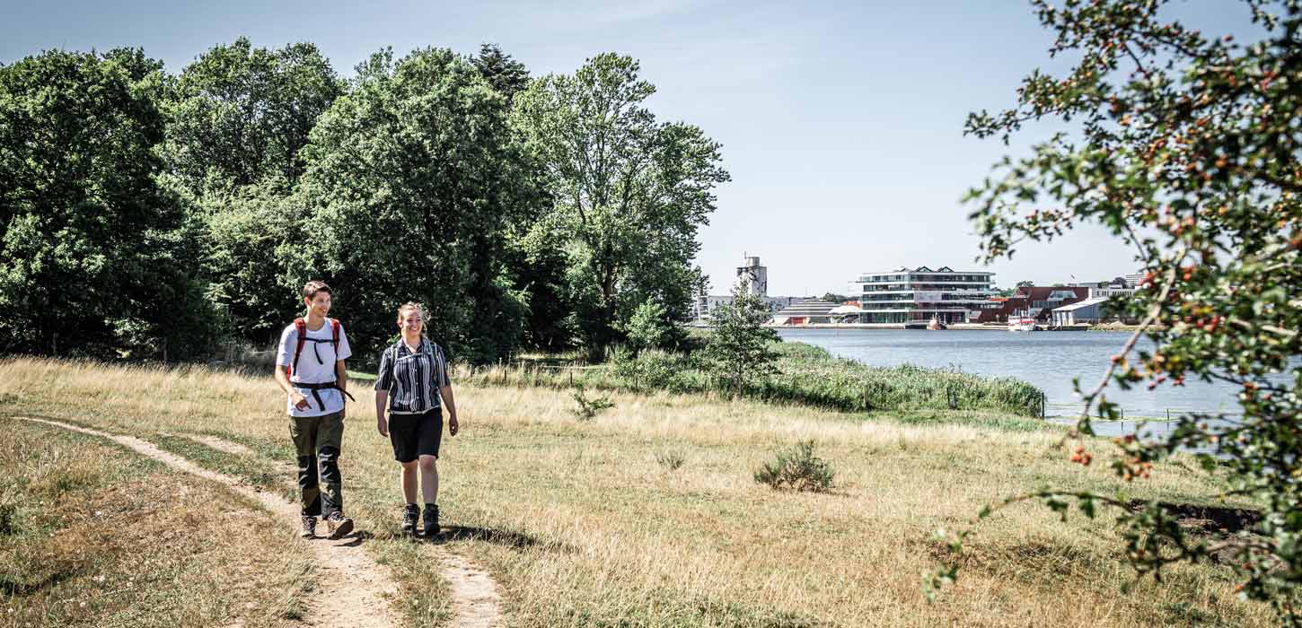 Vandrere på Camino Haderslev Næs