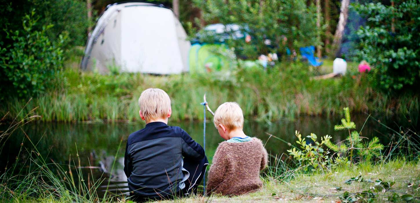 Grøn camping 2