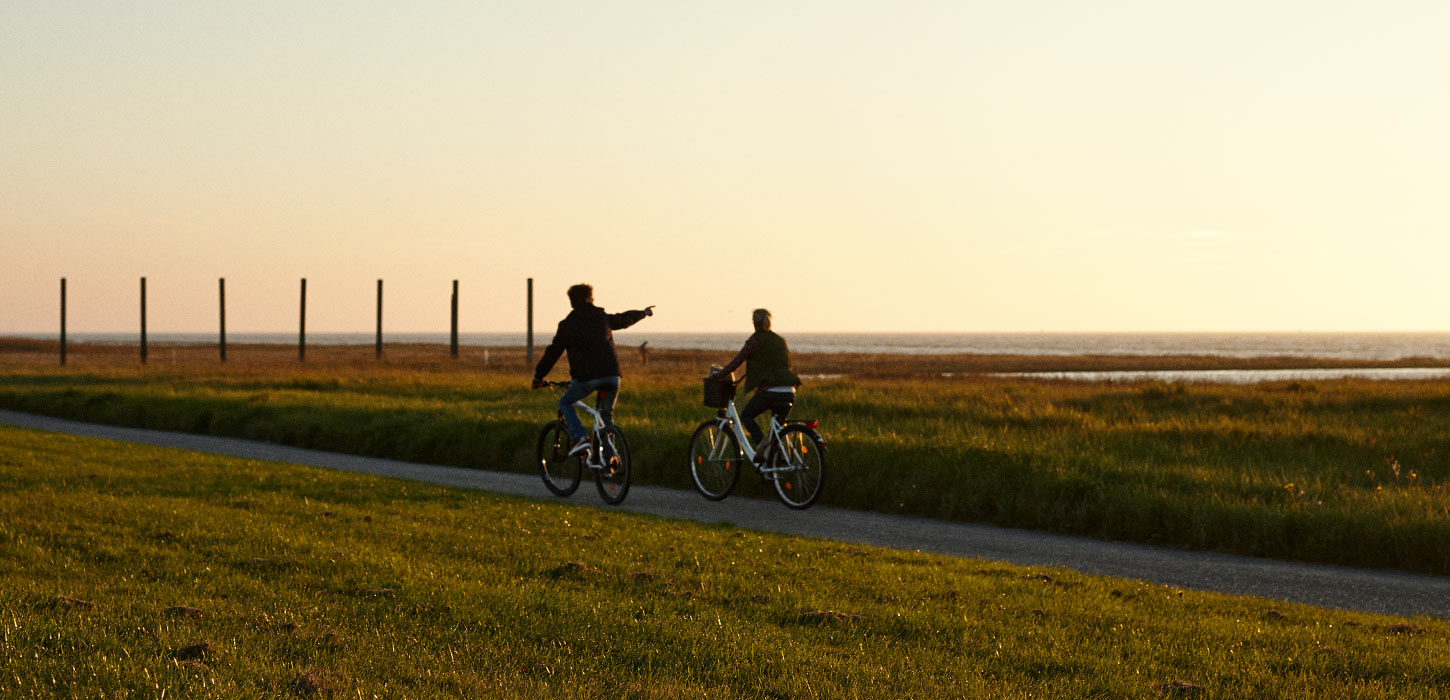 Par på cykel i Tøndermarsken