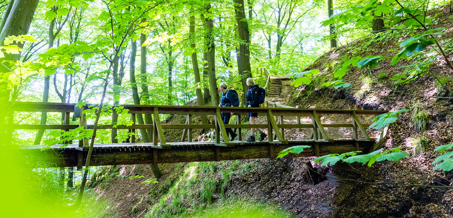 Wanderung auf dem Gendarmenpfad über die Brücke im Kollund Wald