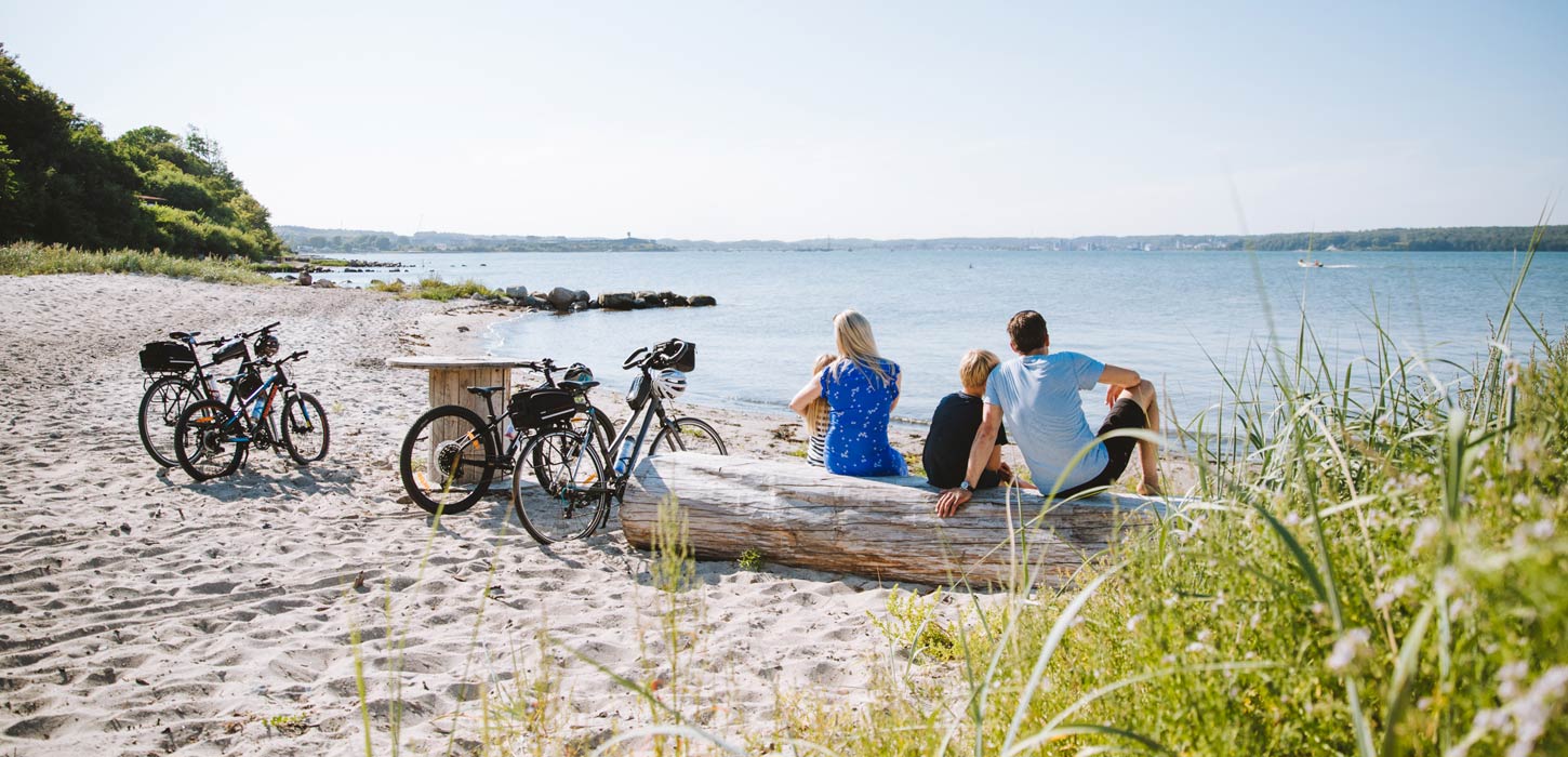 Gezin zit op het strand en kijkt uit over het water, met fietsen naast zich