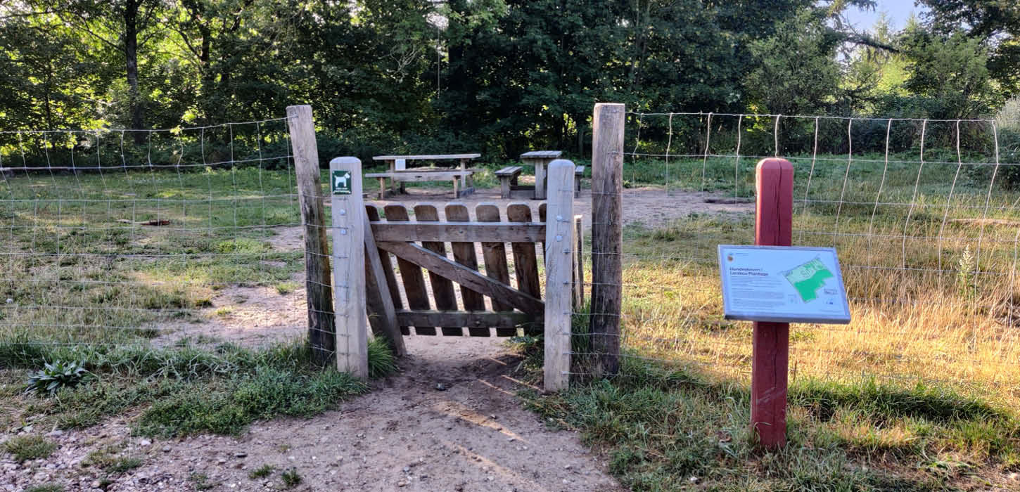 Der Hundewald in Lerskov