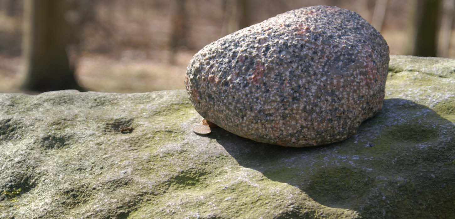 Skålsten i Nørreskoven på Als