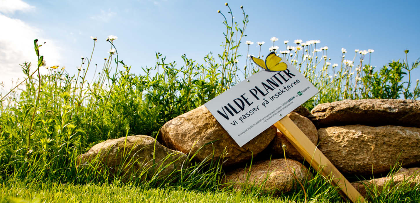 Formidlingshaven i Gråsten