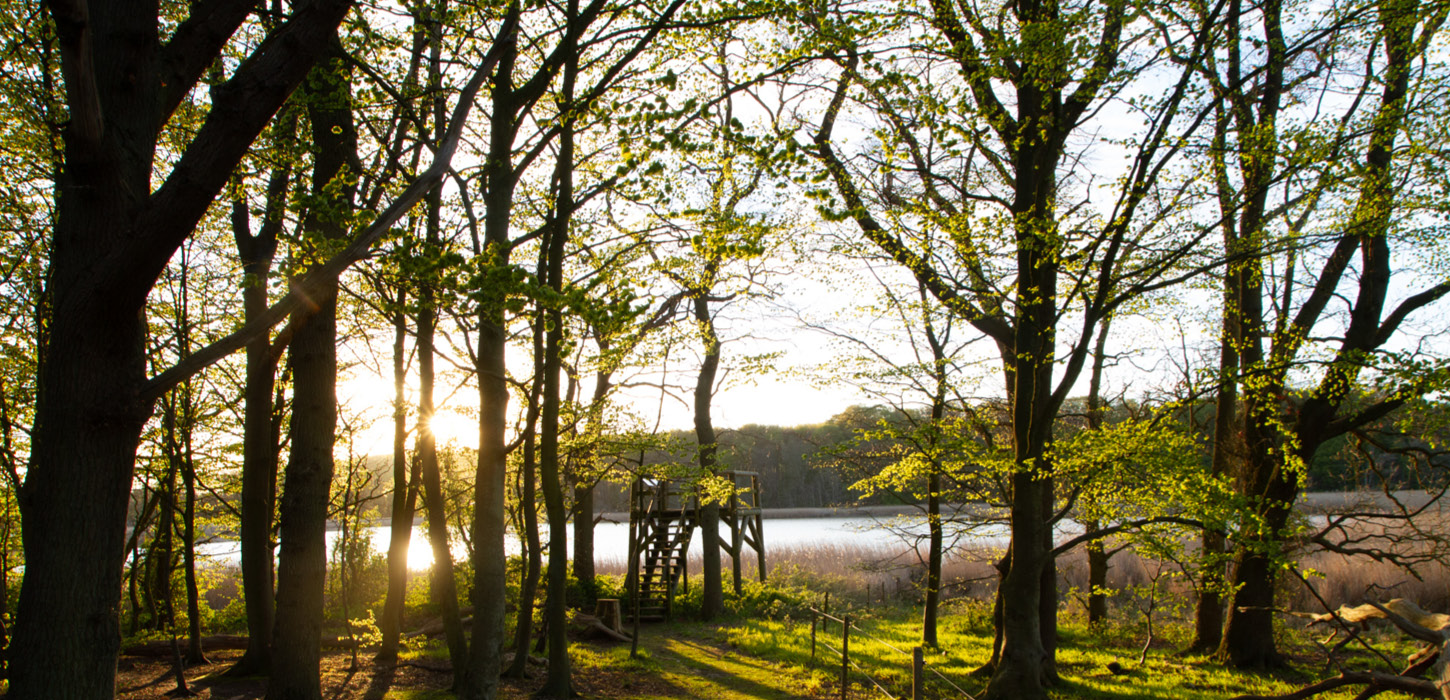 Trillen og udsigtstårn