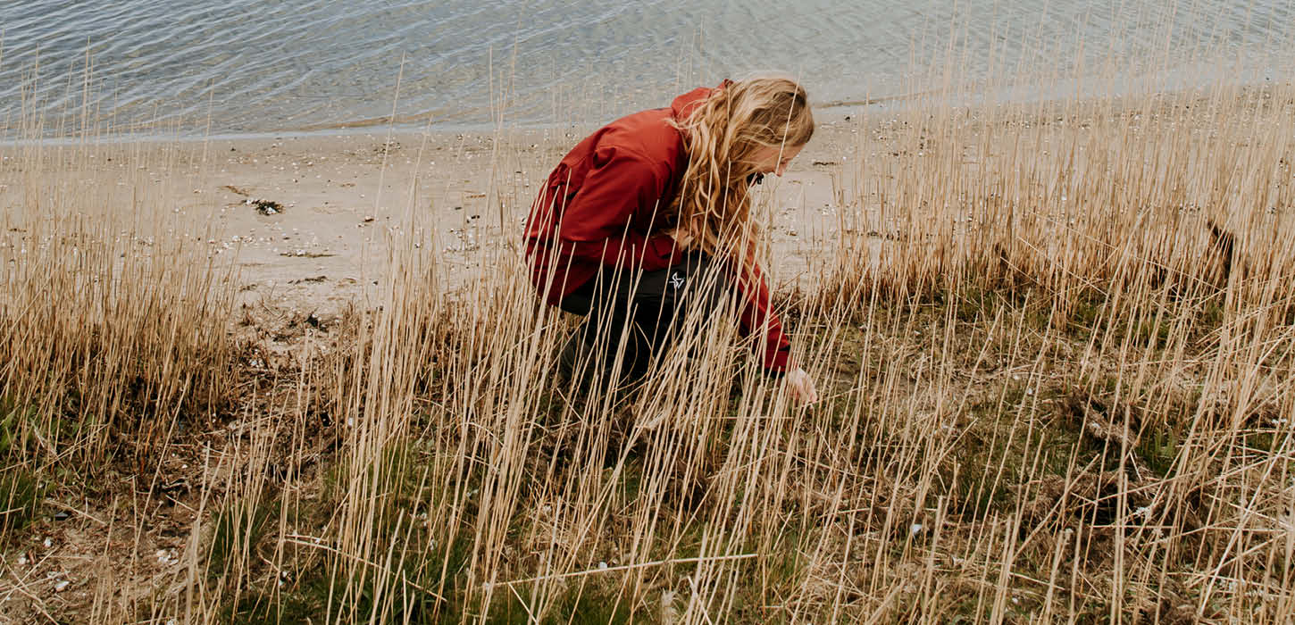 Kvinde sanker urter på Rømø