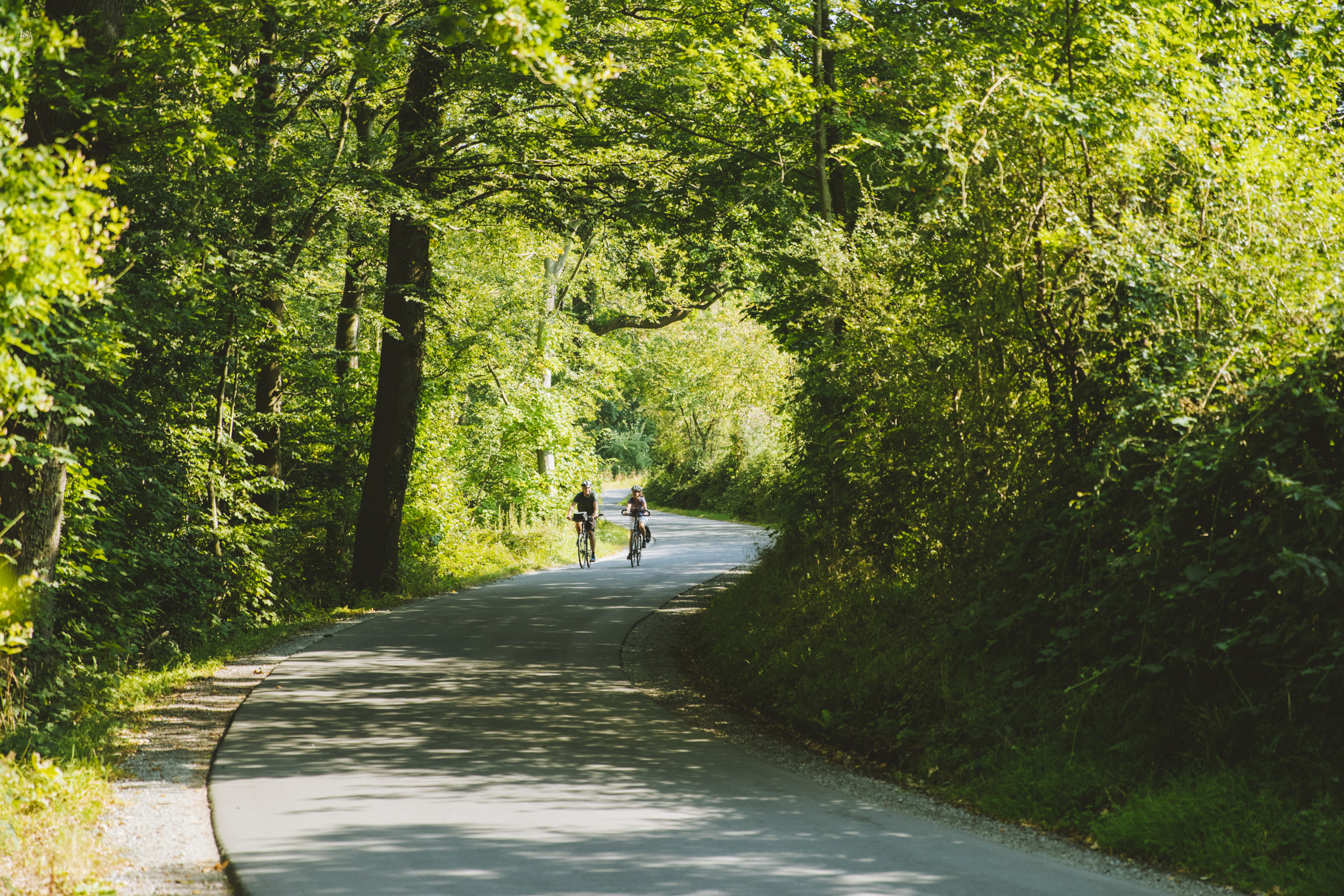 Par cykler i Jørgensgård Skov ved Aabenraa