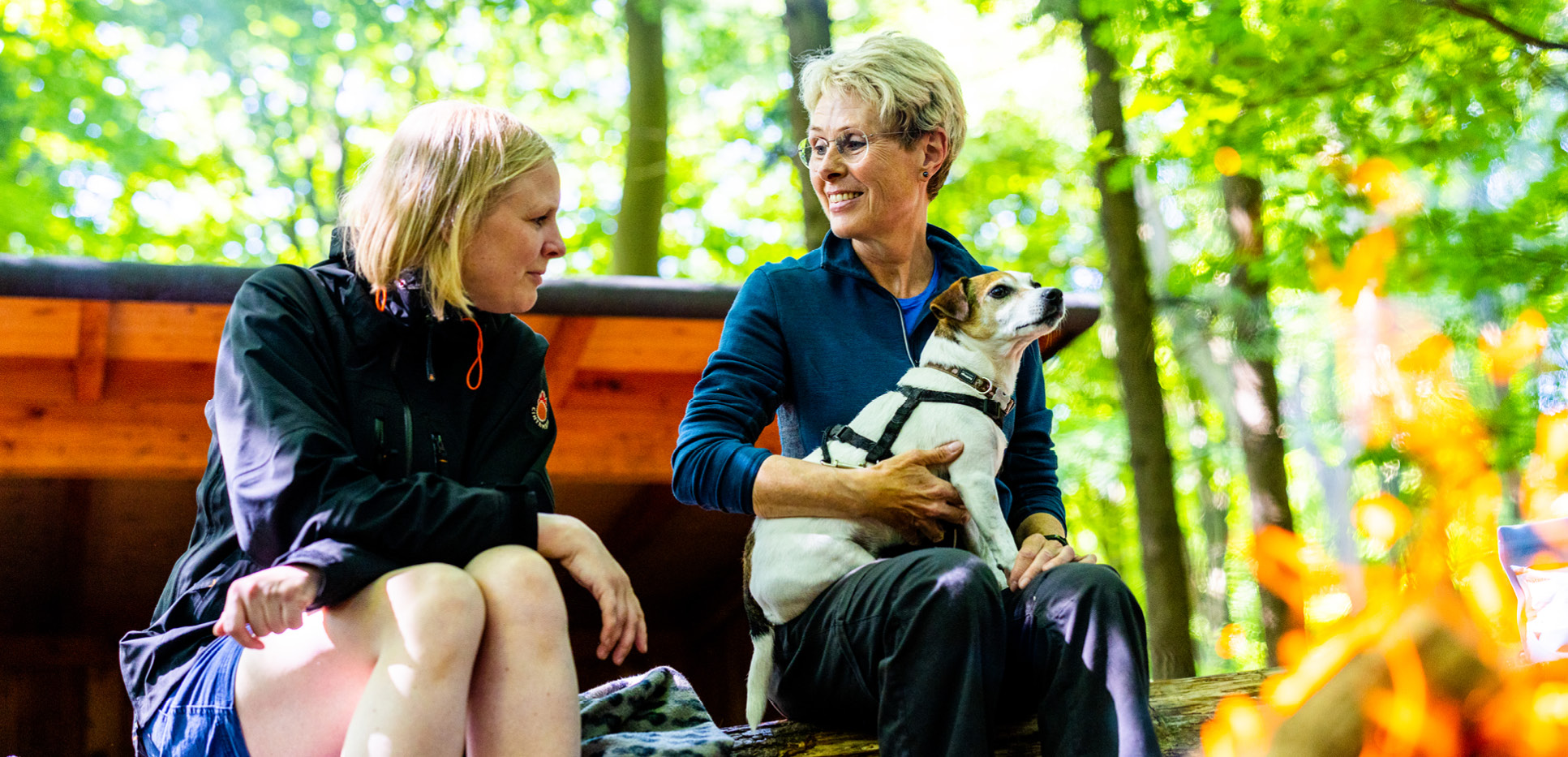 Vandrere på tur i Kollund Skov med hund