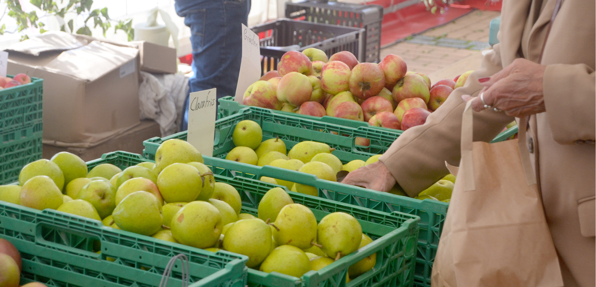 Kvinde udvælger æbler ved Gråsten Æblefestival 2025