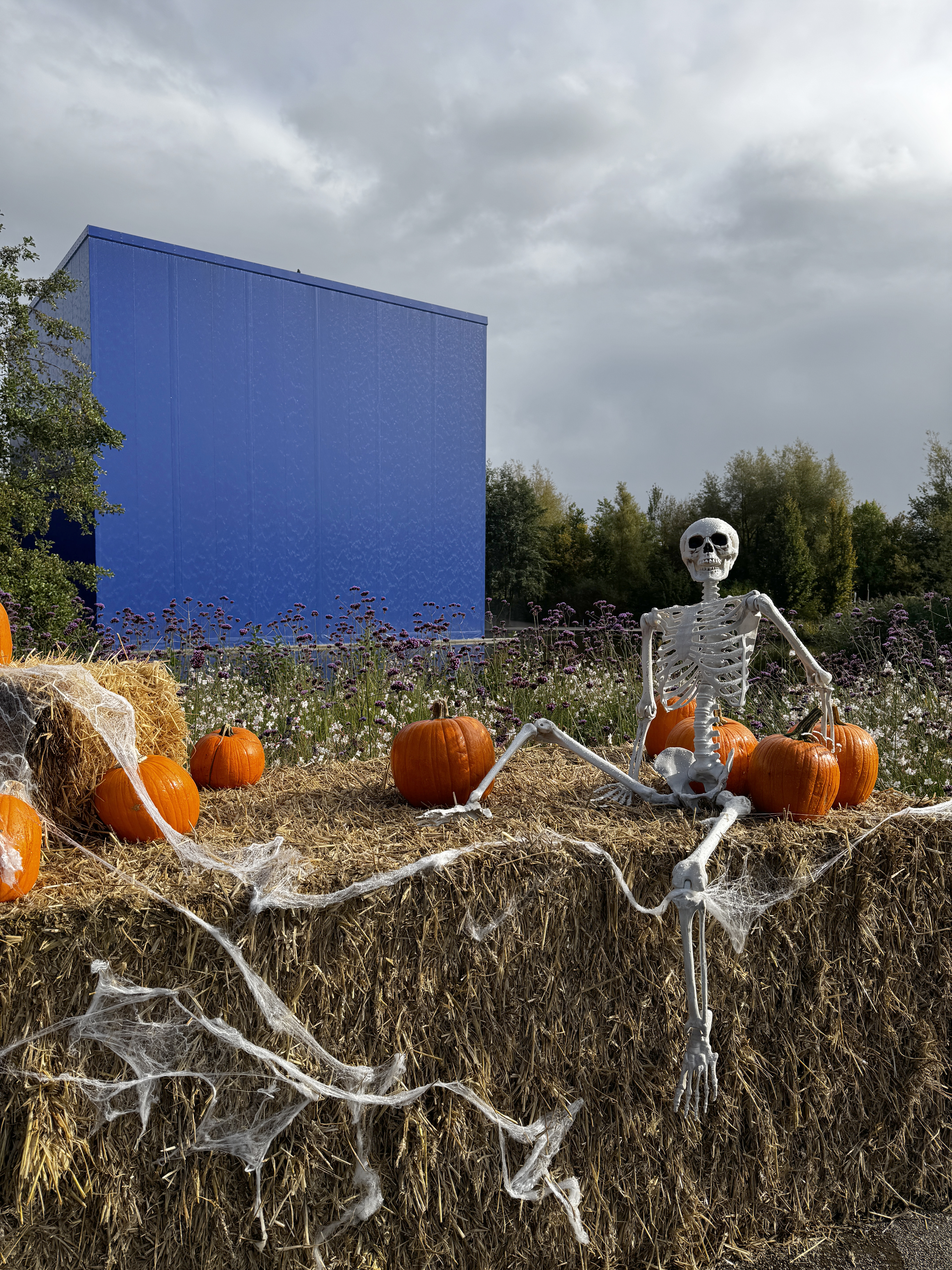 Skelet sidder ved Blå Kupe - Halloween i Universe Science Park