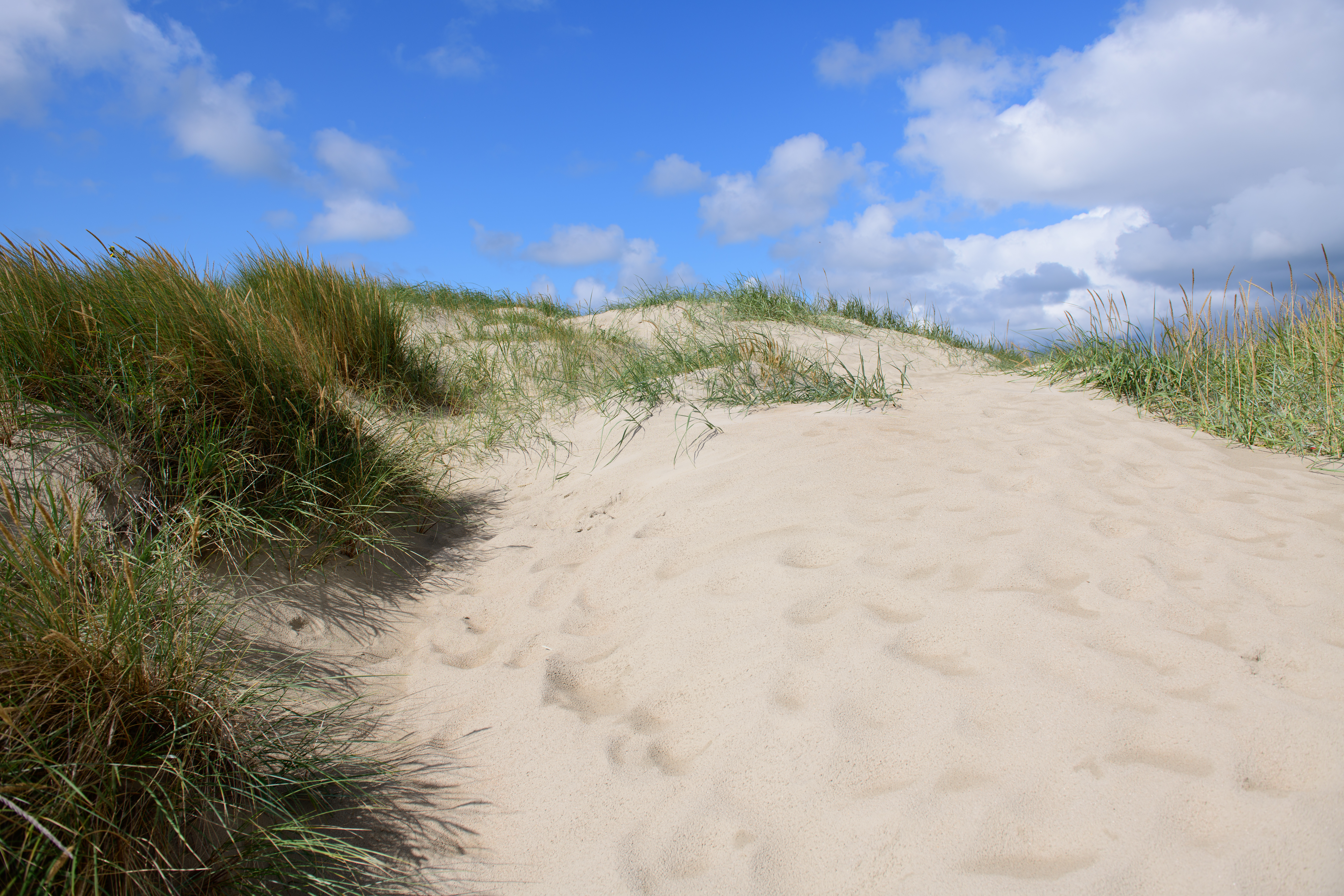 Klitter ved Lakolk strand