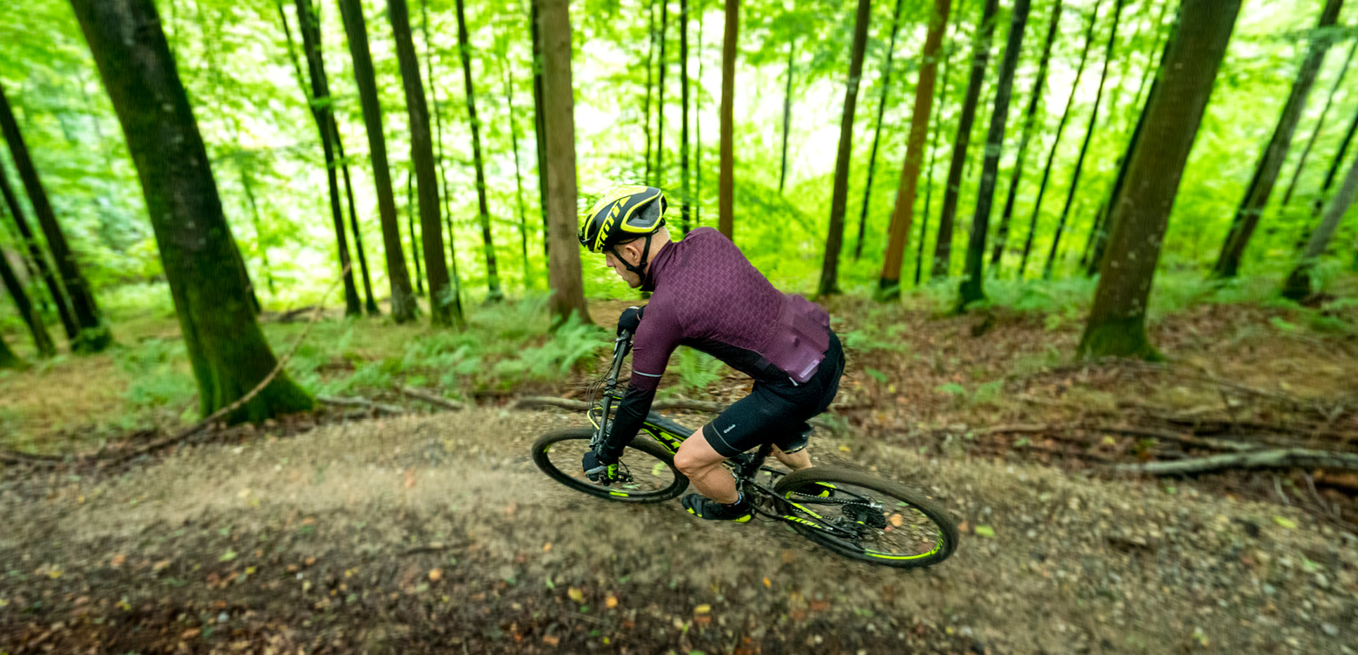 MTB cykling i Pamhule Skov