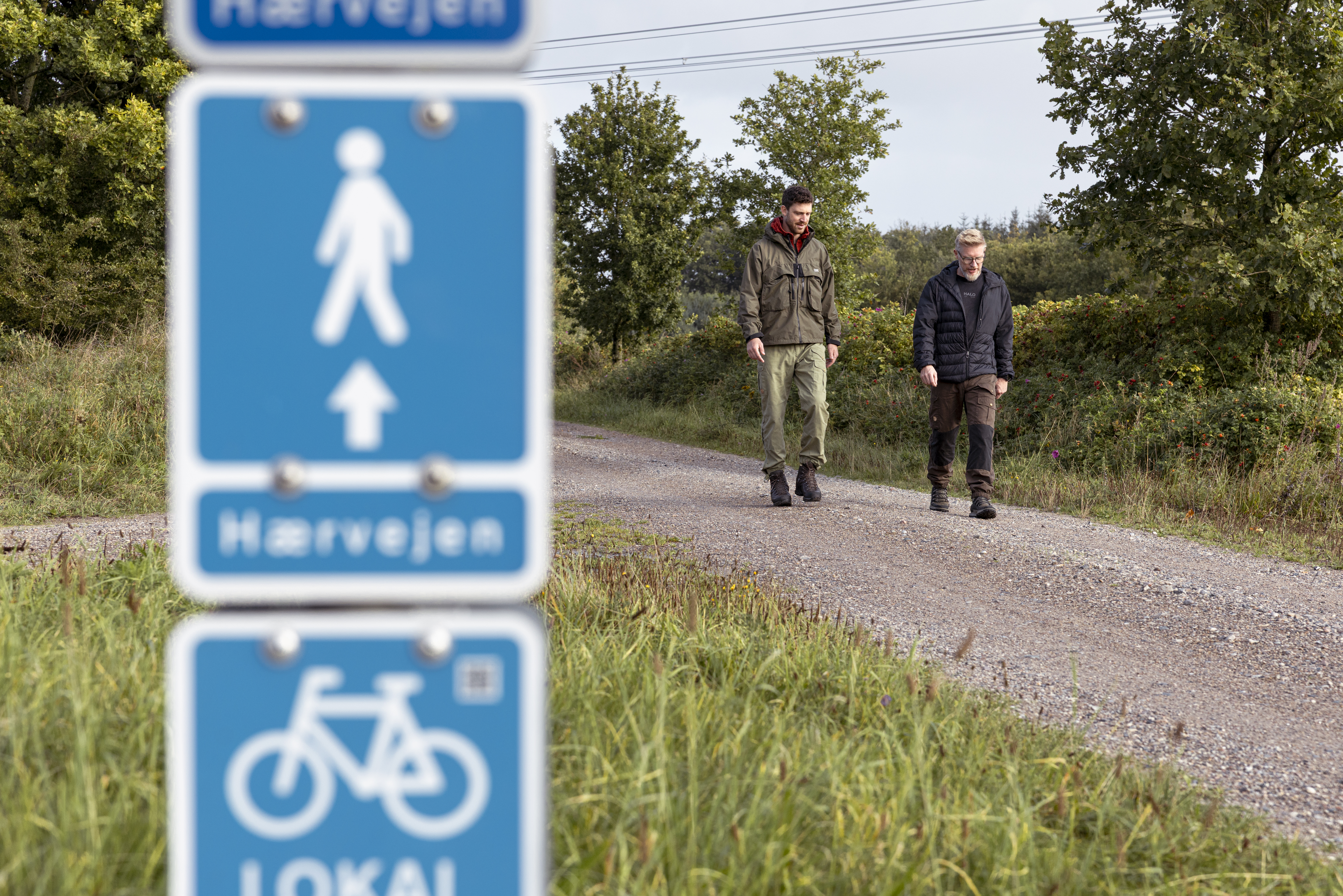 To mænd vandrer på Hærvejen i Aabenraa Kommune