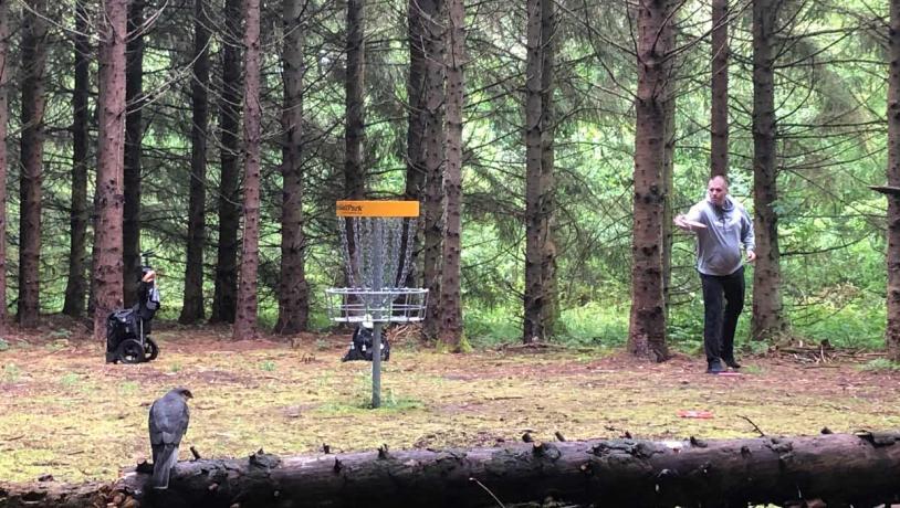 Disc Golf in the forest