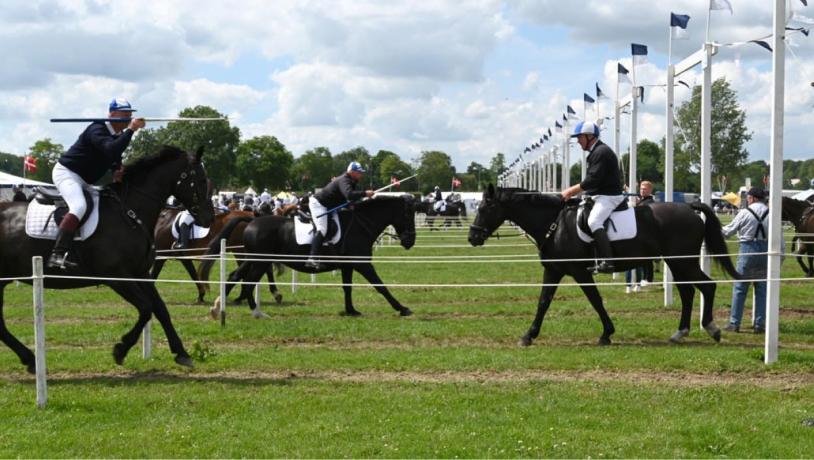 Ring-rider tournament in Aabenraa