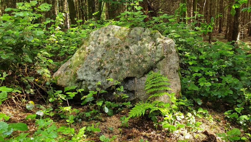 Bowl stone at Rumohrsgård Dyrehave.