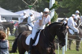 Ringriderdyst i Sønderborg