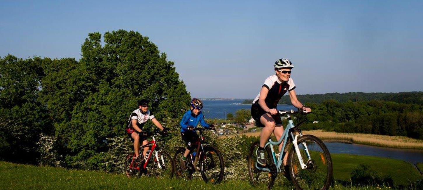The mountainbike trail on Kalvø