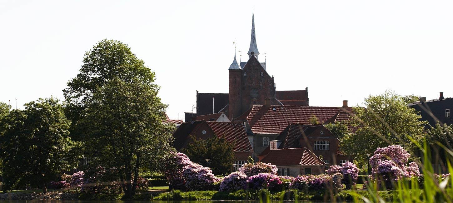 Haderslev Domkirke set fra Haderslev Dam