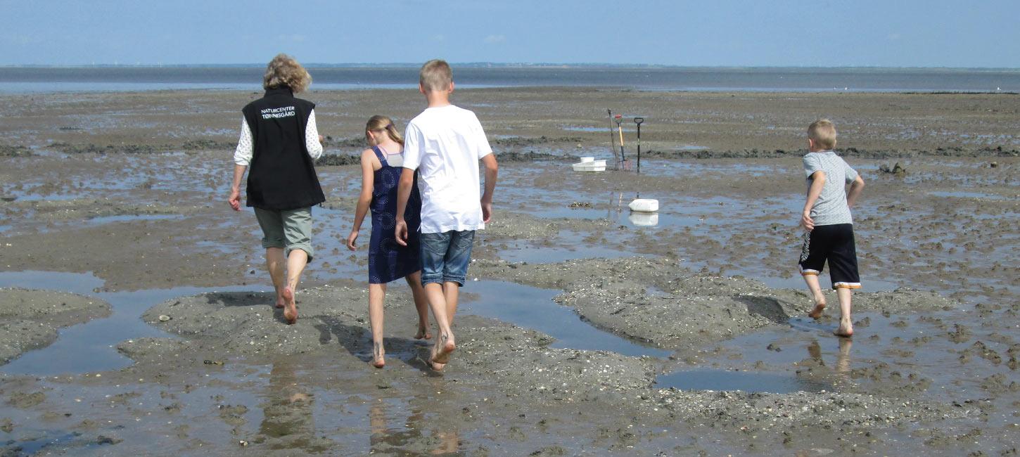 Nature Centre Tønnisgaard