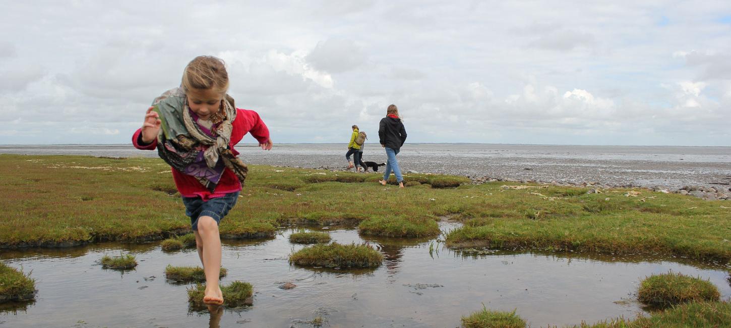 The Wadden Sea