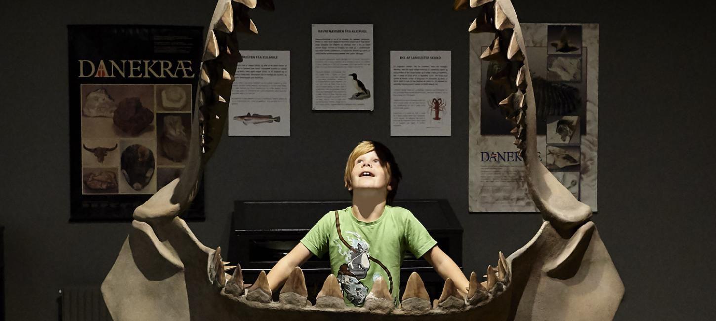 Excited boy at the museum at Gram Lergrav