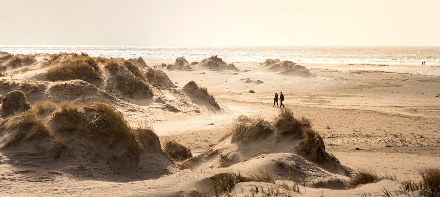 Dunes on Rømø