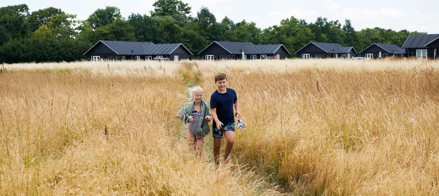 Children in a cornfield in front of holiday homes