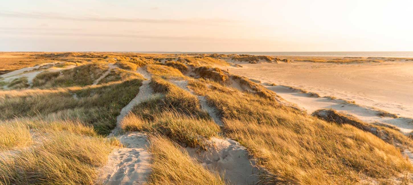 Dunes on Rømø