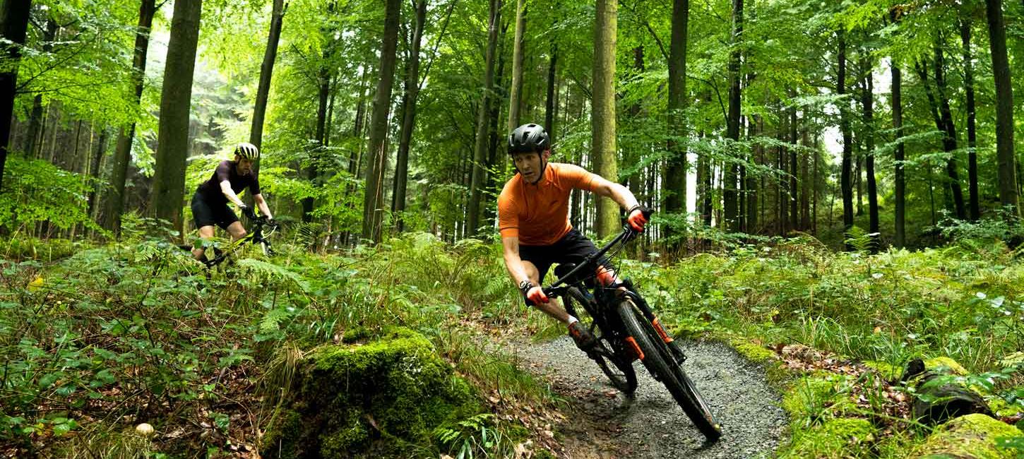 Mountainbikecyklister i skoven ved Aabenraa