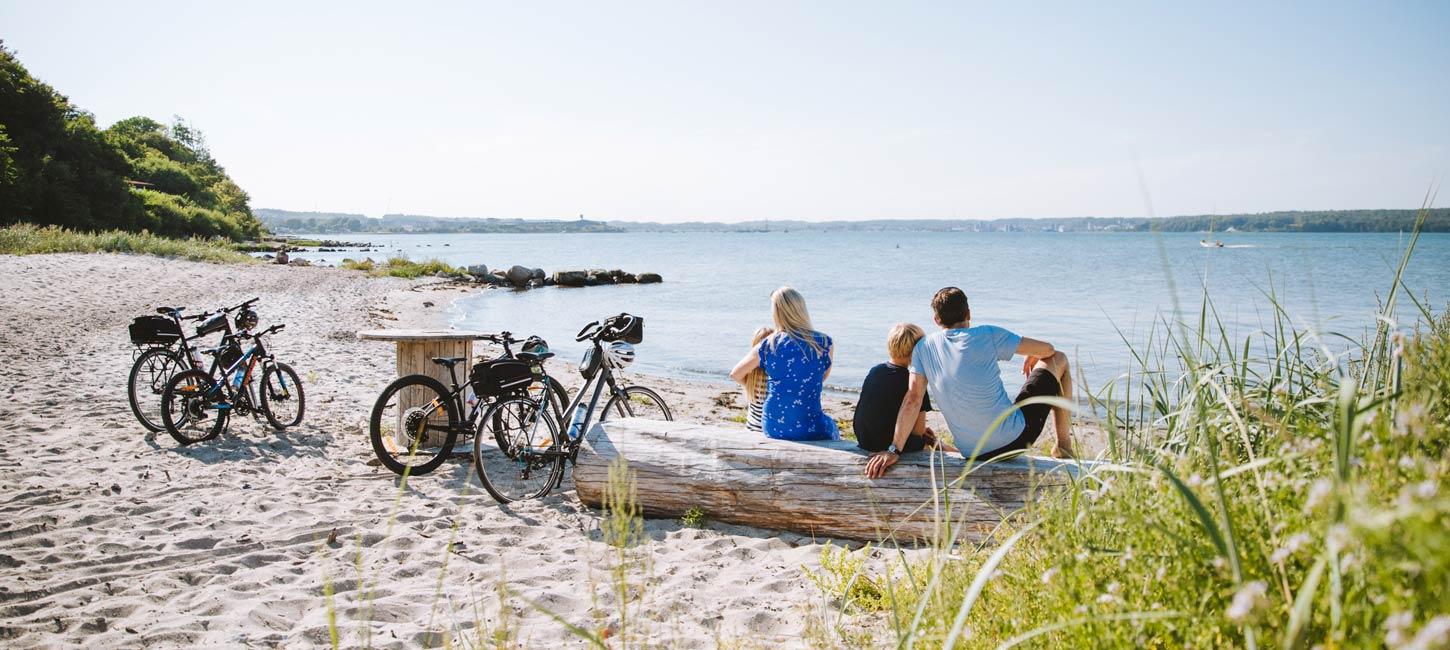 Family sitting next to their bikes on the beach and looking out over the water