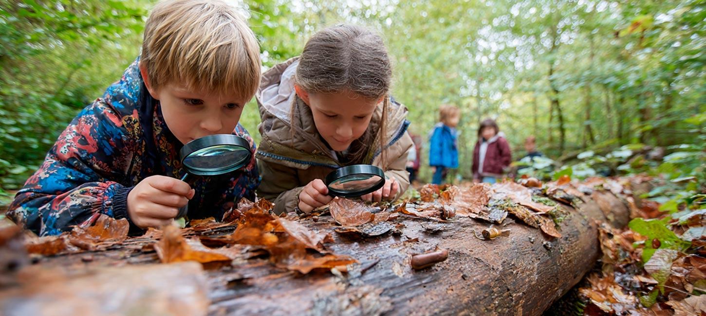 Børn på opdagelse i efterårsskov i Sønderborg