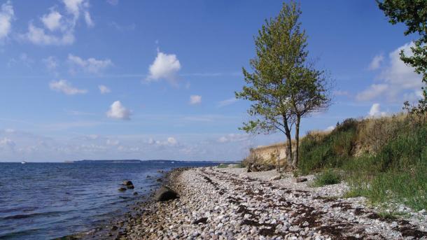 Aarø