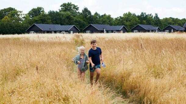 Children in a cornfield in front of holiday homes 