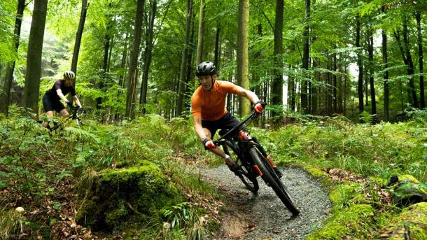 Mountainbikecyklister i skoven ved Aabenraa