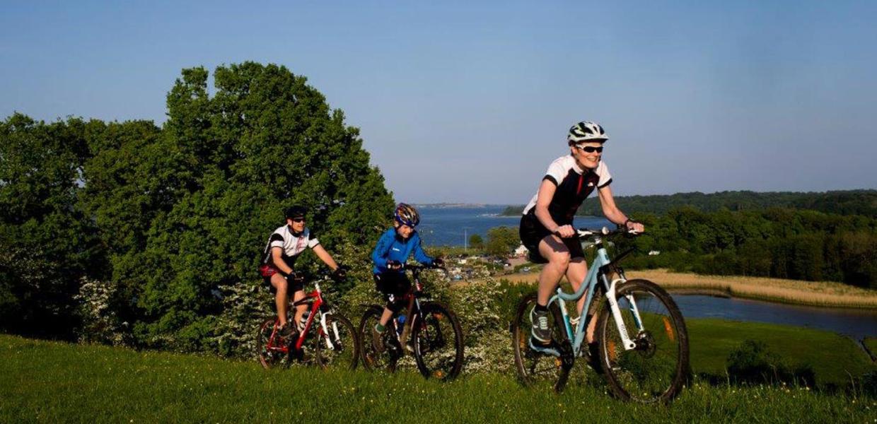 The mountainbike trail on Kalvø