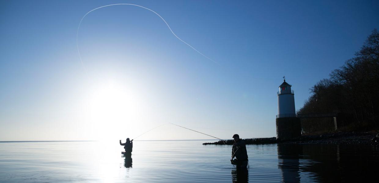 Fluefiskere i vandet ved Taksensand Fyr