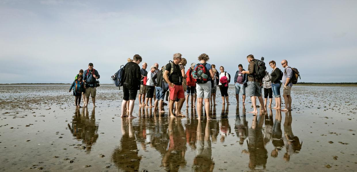 The Wadden Sea