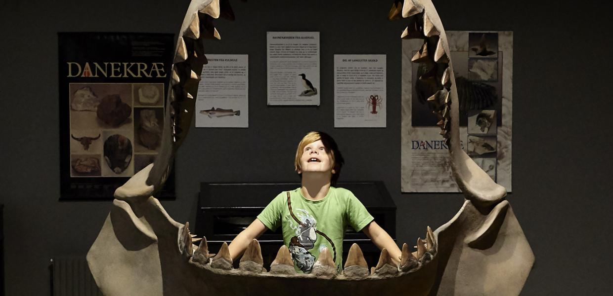 Excited boy at the museum at Gram Lergrav