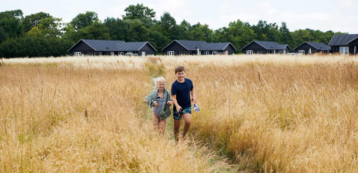 Children in a cornfield in front of holiday homes 