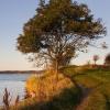 Efterår på Gendarmstien ved Flensborg Fjord