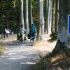 Cycling on the Baltic Sea Route near Sønderskov