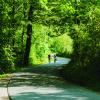 Par der cykler ved Jørgensgård Skov 