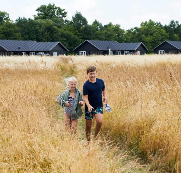 Children in a cornfield in front of holiday homes