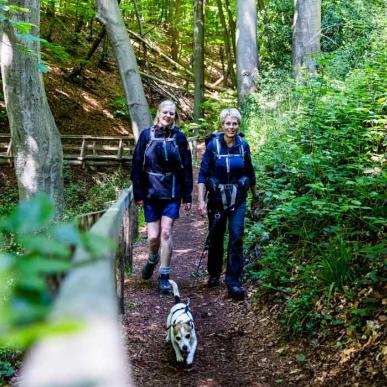 Vandrere med hund i Kollund Skov på Gendarmstien